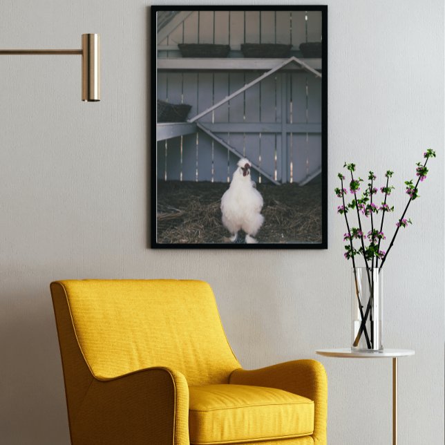 Silkie Chicken Poster (Skapare uppladdad)