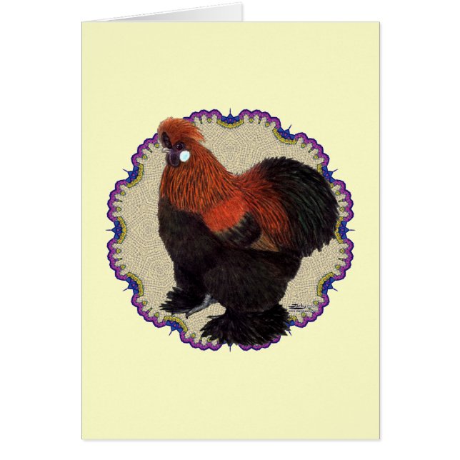 Silkie Circle OBS Kort (Framsidan)