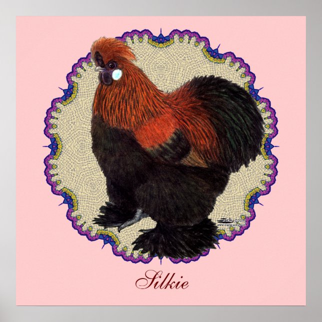 Silkie Circle Poster (Framsidan)