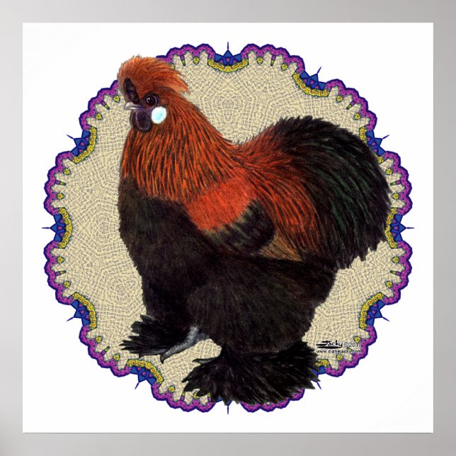 Silkie Circle Poster (Framsidan)