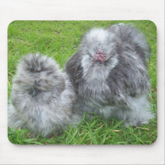 Silkie fega Mousepad Musmatta