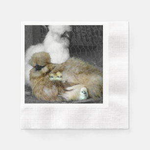 Silkie Hens med Chickar Peeking ur fjädrar Pappersservett