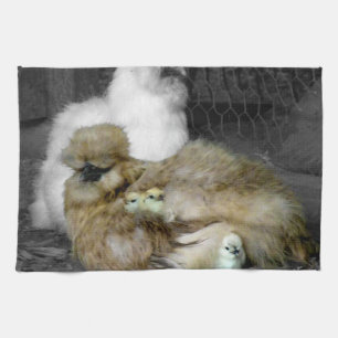 Silkie hönor med chickar som kikar ut ur fjädrar kökshandduk