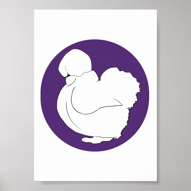 Silkie Poster (Framsidan)