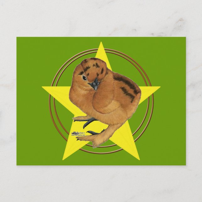 Silkie Red Chick Star Vykort (Framsida)