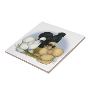 Silkie Trio Kakelplatta