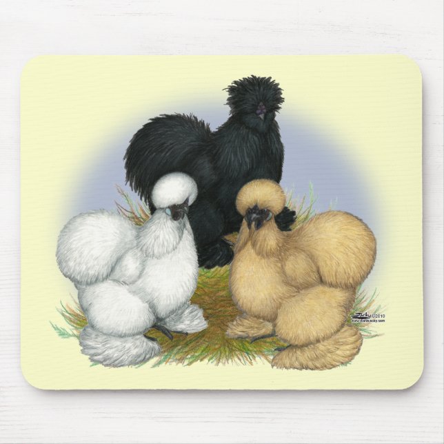 Silkie Trio Musmatta (Framsidan)