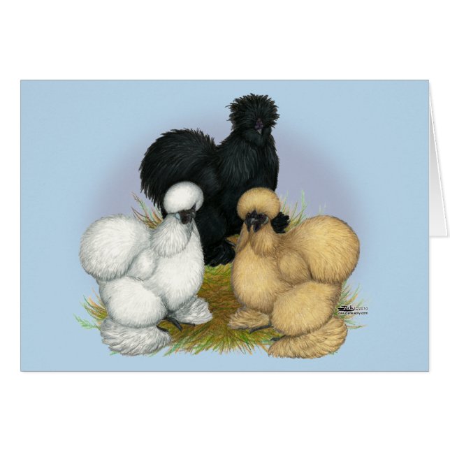 Silkie Trio OBS Kort (Framsidan Horizontal)