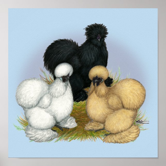 Silkie Trio Poster (Framsidan)