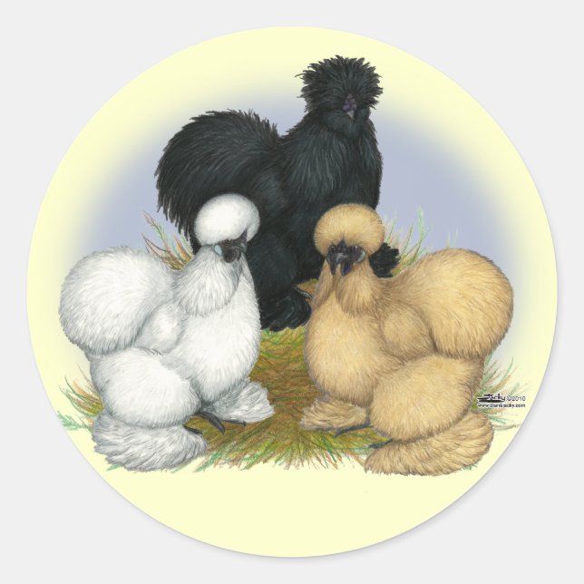 Silkie Trio Runt Klistermärke (Framsida)