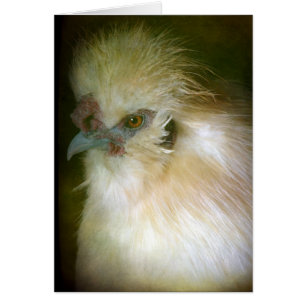 Silkie Tupp Hälsningskort