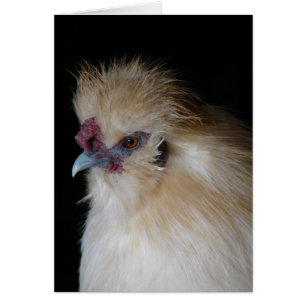 Silkie Tupp Hälsningskort