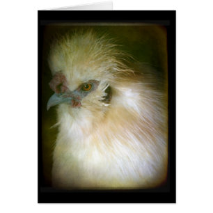 Silkie Tupp Hälsningskort