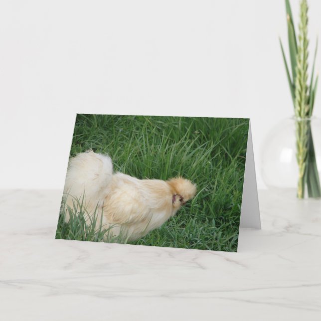 Silkie Tupp Kort (Framsida)