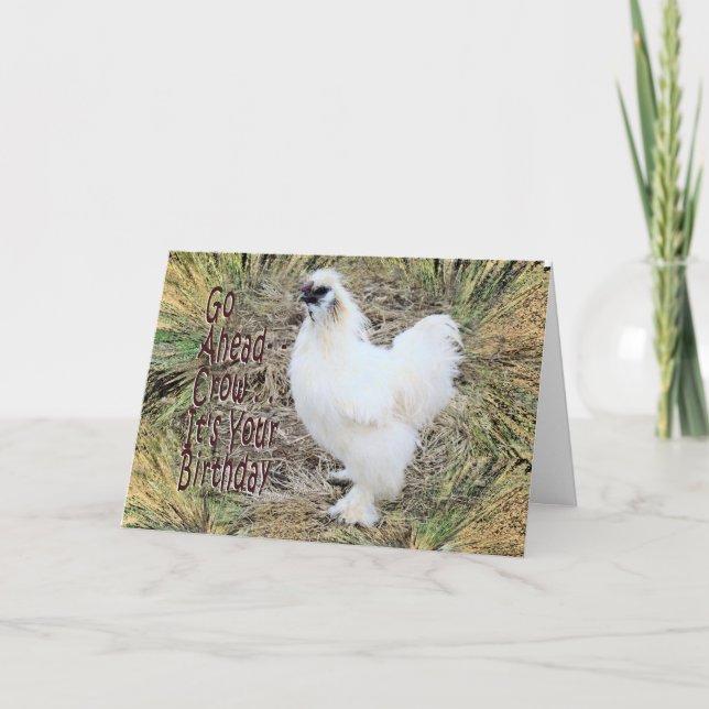 Silkie Tupp-kort Kort (Framsida)