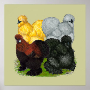 Silkies: Blandade tuppar Poster