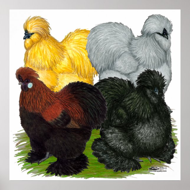 Silkies: Tilldelad Tuppar Poster (Framsidan)