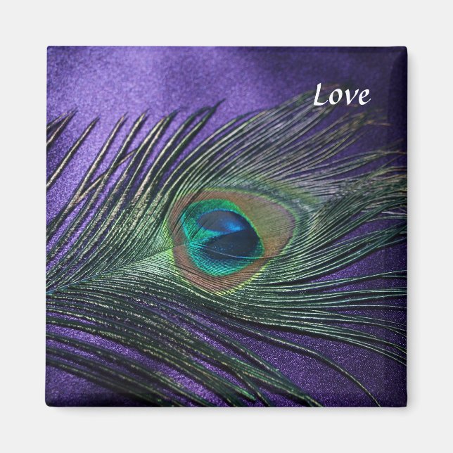 Silky Lila Peacock Feather Magnet (Framsidan)