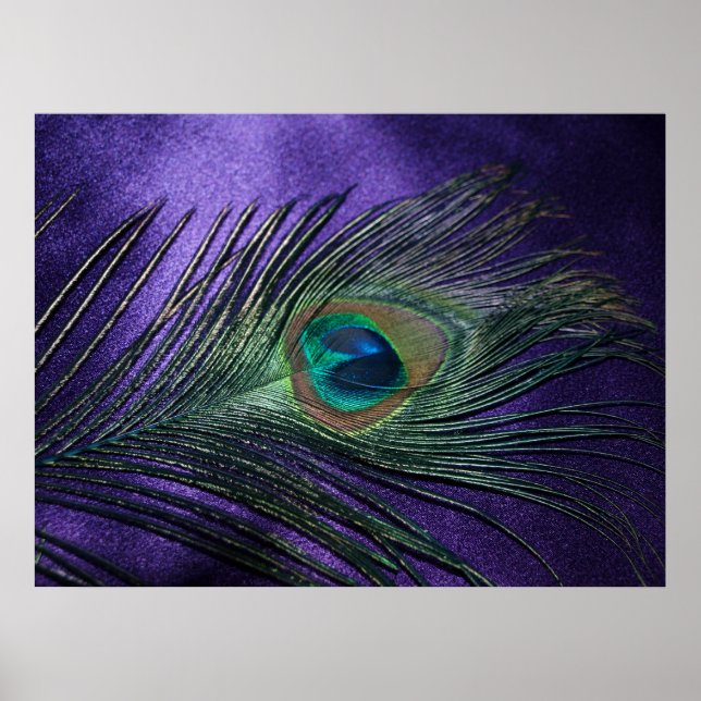 Silky Lila Peacock Feather Poster (Framsidan)
