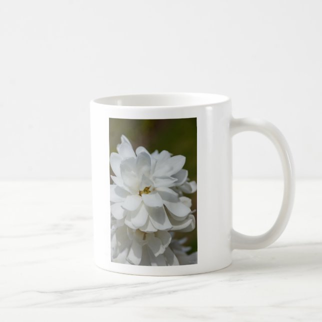 Silky Magnolia Kaffemugg (Höger)