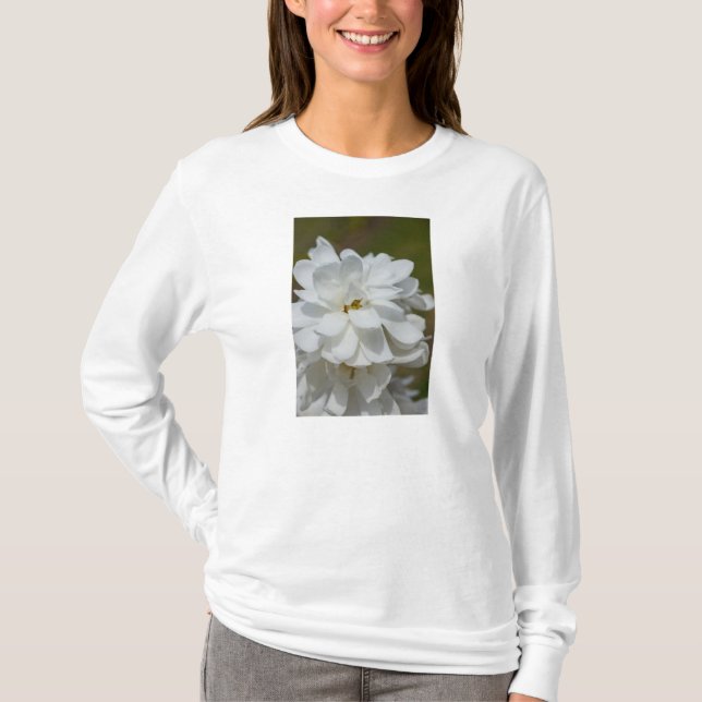 Silky Magnolia Långärmad T-Shirt (Framsida)