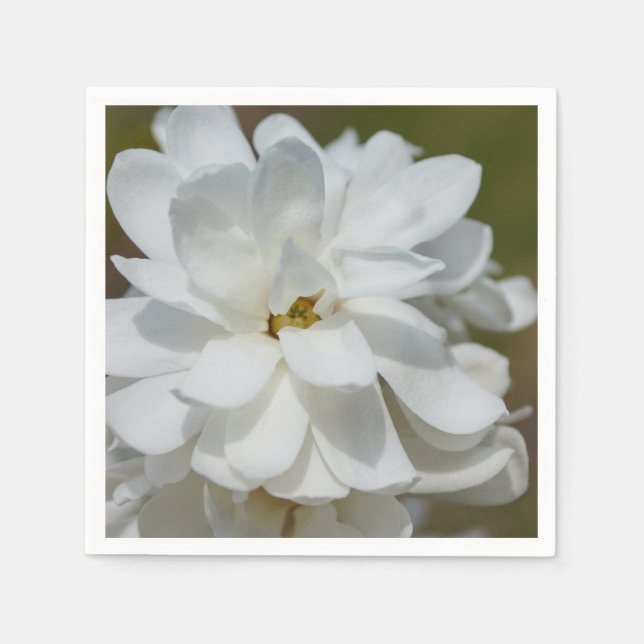 Silky Magnolia Pappersservett (Framsidan)