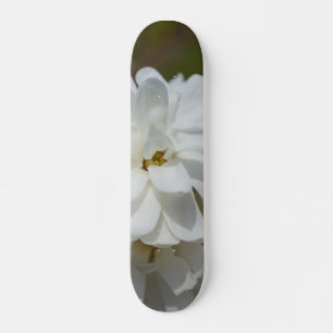 Silky Magnolia Skateboard Bräda 20 Cm