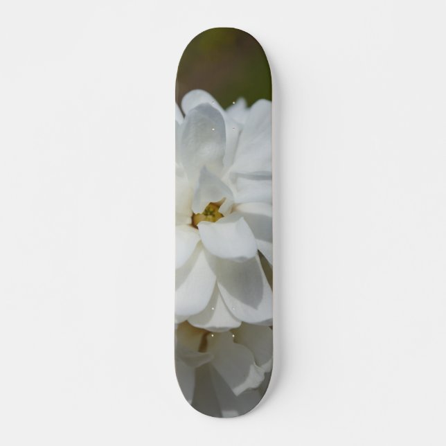 Silky Magnolia Skateboard Bräda 20 Cm (Framsida)