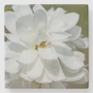 Silky Magnolia Stenunderlägg