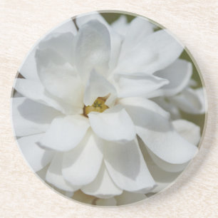 Silky Magnolia Underlägg