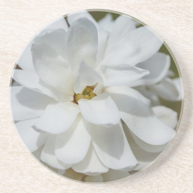 Silky Magnolia Underlägg (Framsidan)