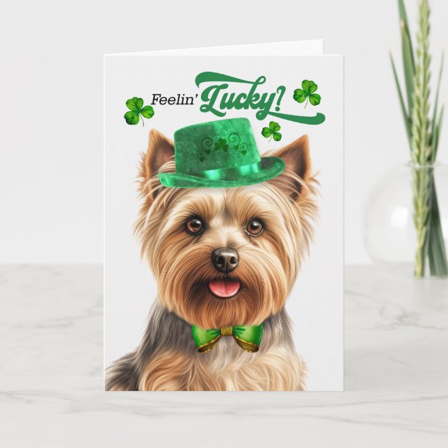 Silky Terrier Feelin' Lucky St patrick's day Helgkort (Framsida)
