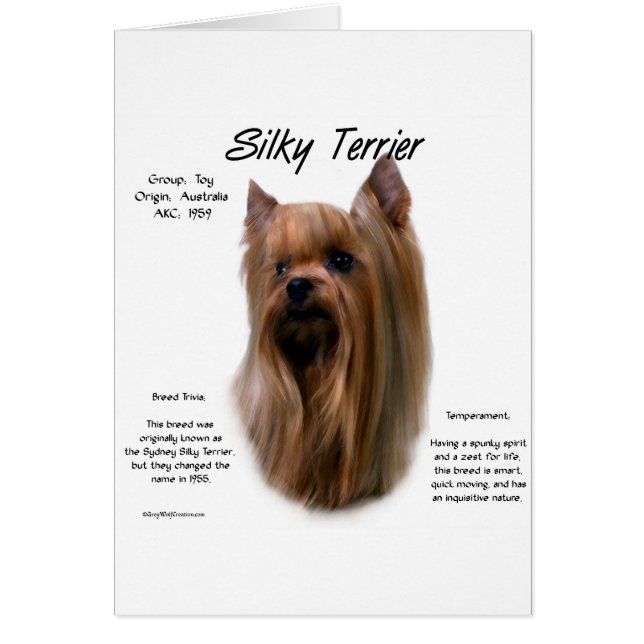 Silky Terrier-historikdesign Hälsningskort (Framsidan)