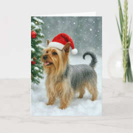 Silky Terrier Holiday Card Helgkort