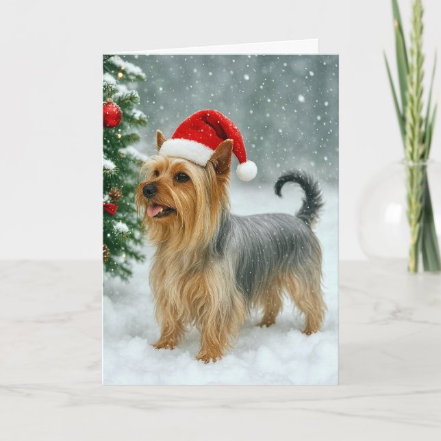 Silky Terrier Holiday Card Helgkort (Framsida)