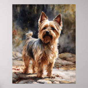 Silky Terrier Hund Art Print Poster