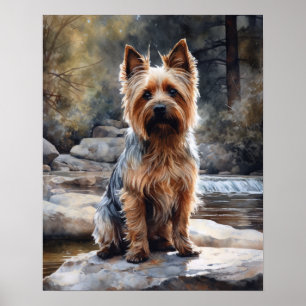 Silky Terrier Hund Art Print Poster
