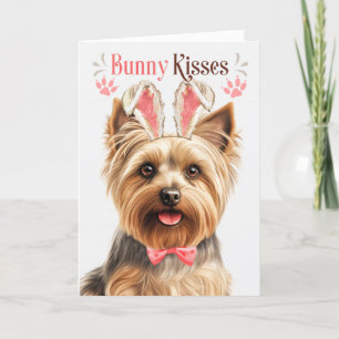 Silky Terrier Hund Bunny Öron för Påsk Helgkort