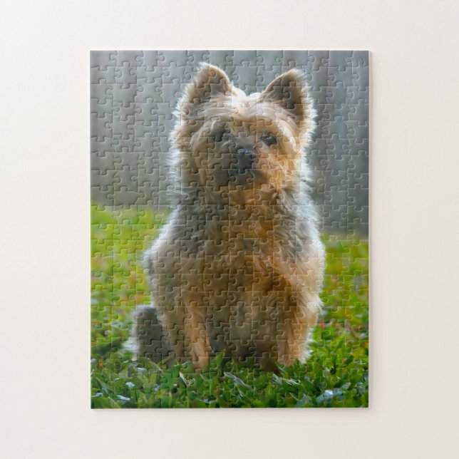Silky Terrier Hund Jigsaws. Pussel (Vertikal)