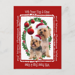 Silky Terrier jul Hugs och Kisses Postcard Helg Vykort