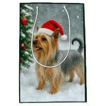 Silky Terrier Julkort