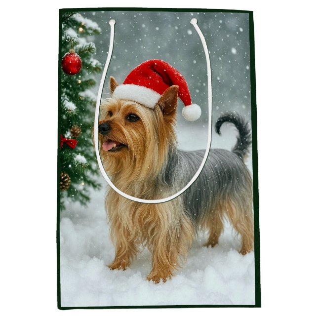 Silky Terrier Julkort (Framsidan)