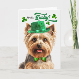 Silky Terrier Känner sig Lucky St Patrick's Day Helgkort