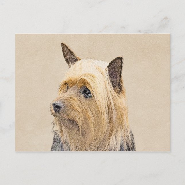 Silky Terrier-målning - Cute Original Hund Art Vykort (Framsida)