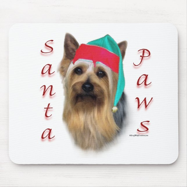 Silky Terrier Santa Tassar Musmatta (Framsidan)