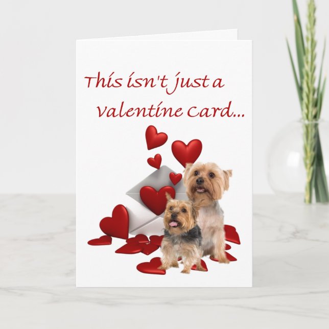 Silky Terrier var vår Valentine Helgkort (Framsida)