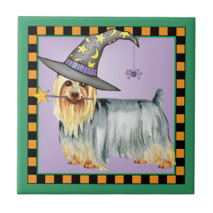 Silky Terrier Witch Kakelplatta