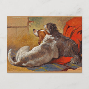 Sill - A Hound och Bearded Collie Vykort