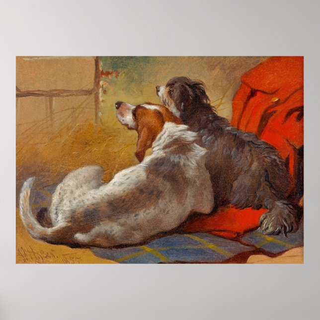 Sill är A Hound och en bodig kollie Poster (Framsidan)