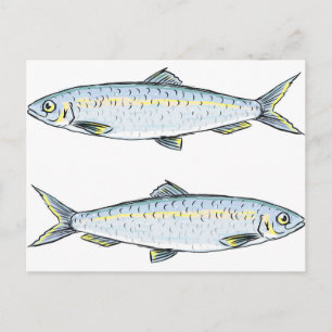 Sill Fish Sketch Vykort
